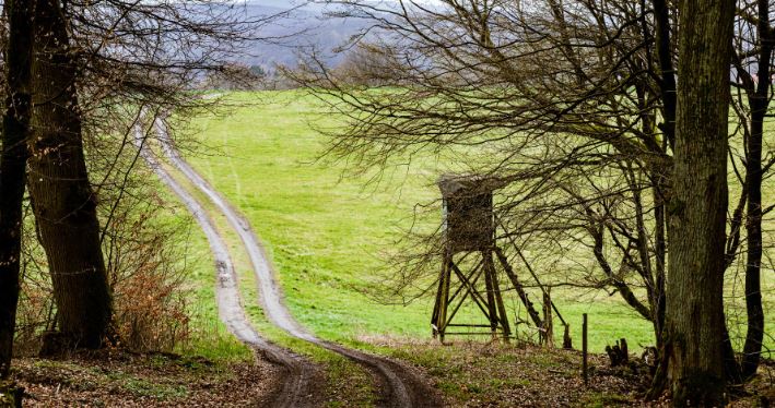 immagine Avviso pubblico per la concessione d’uso di appostamenti fissi di caccia