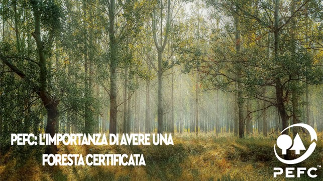 Certificazione PEFC per una foresta sostenibile