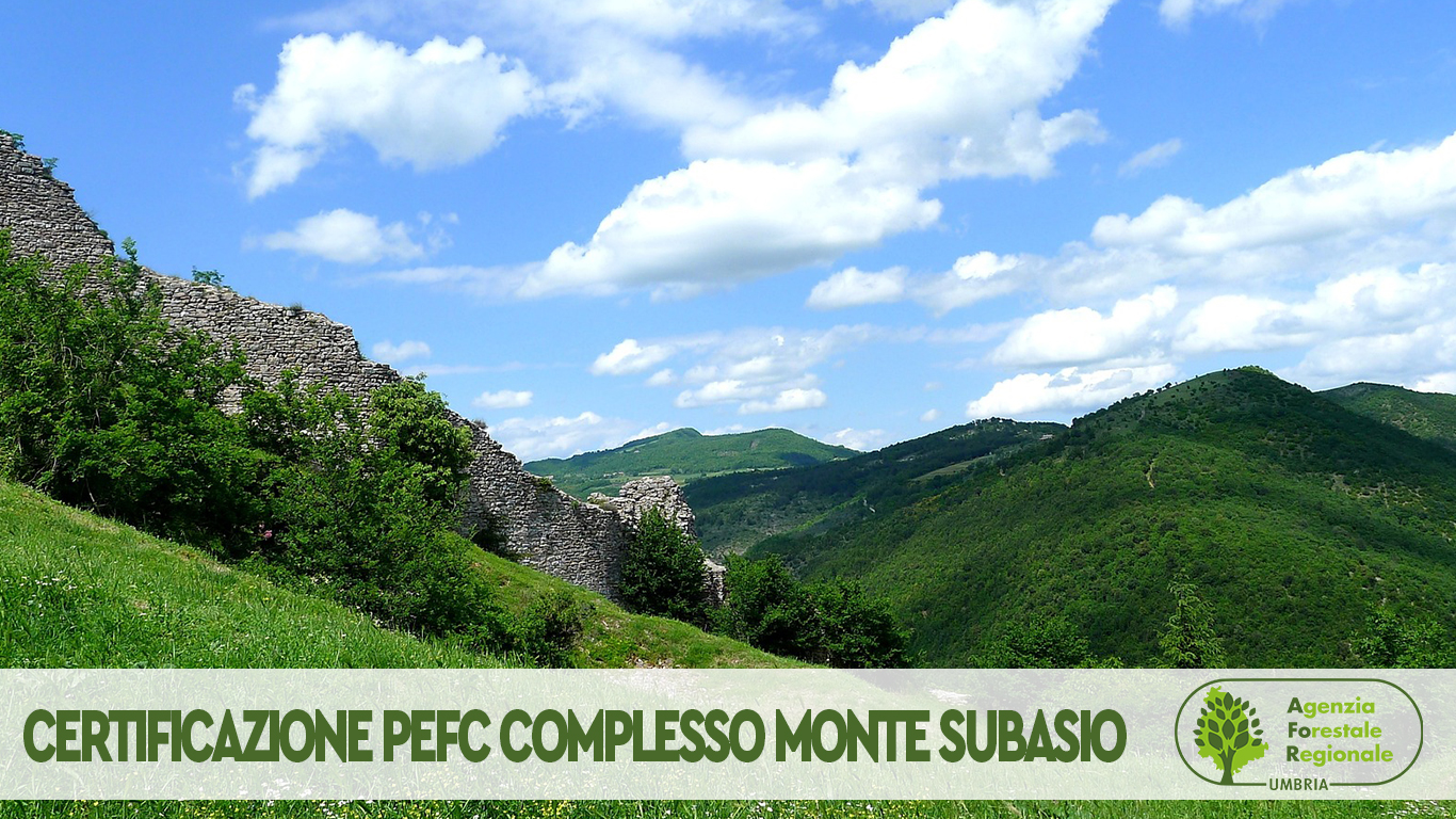 Certificazione PEFC del complesso del Monte Subasio AFoR Umbria