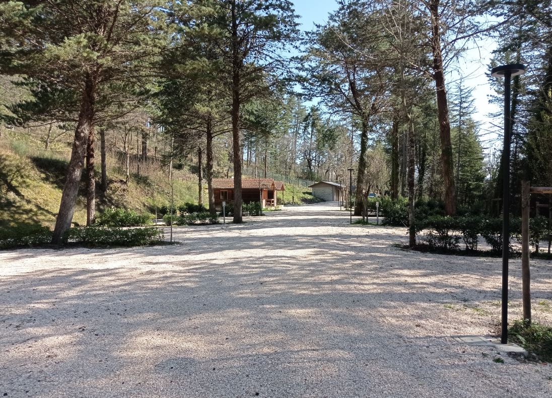 immagine Avviso pubblico per l’affidamento in regime di concessione dell’area turistico ricettiva denominata “Camping Pineta” situata nel Comune di Pietralunga